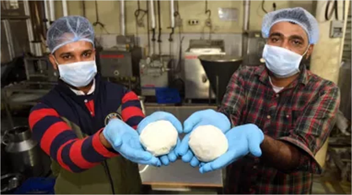 Punjab bets big on goat cheese to boost farmers’ income