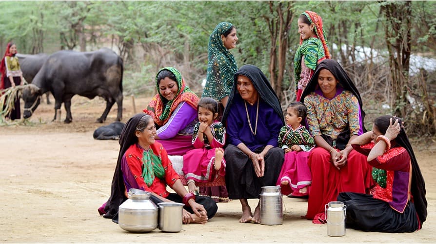Women Power: India’s Dairy Sector Transformed