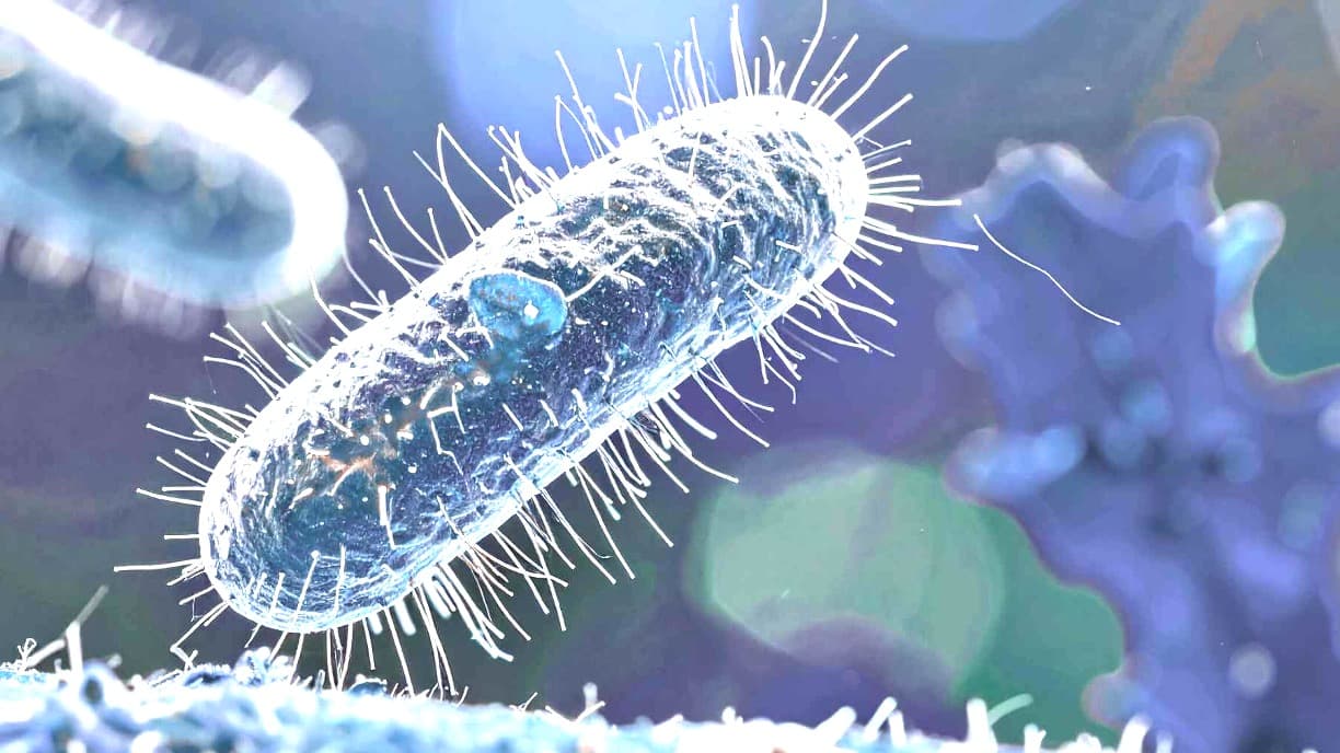 Dairy Foods Linked to Unexpected Gut Microbiome Differences