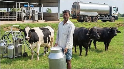 DAHD rolls out schemes to boost milk yield; milk prices rising