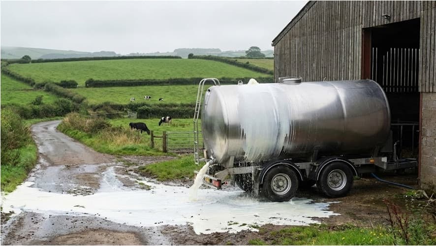 UK Milk Prices Drop as Oversupply Pressures Dairy Farmers