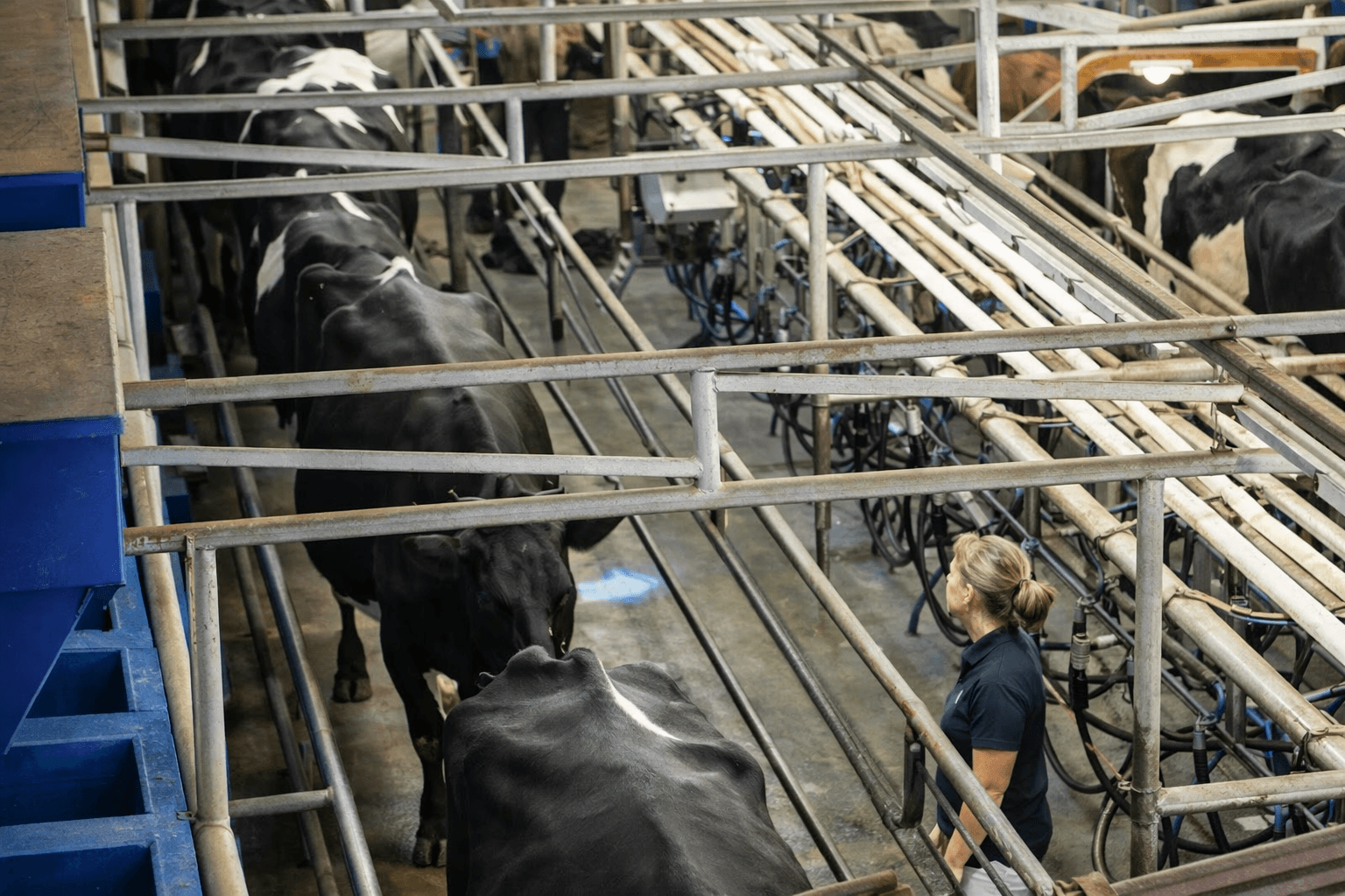 UK Opens Milk Sector Survey for Fairer Supply Chain