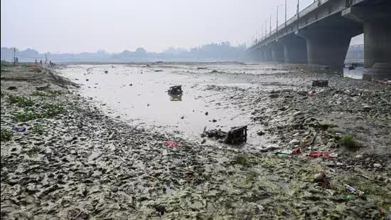 MCD Plans 10 Biogas Plants to Cut Dairy Waste Flow into Yamuna