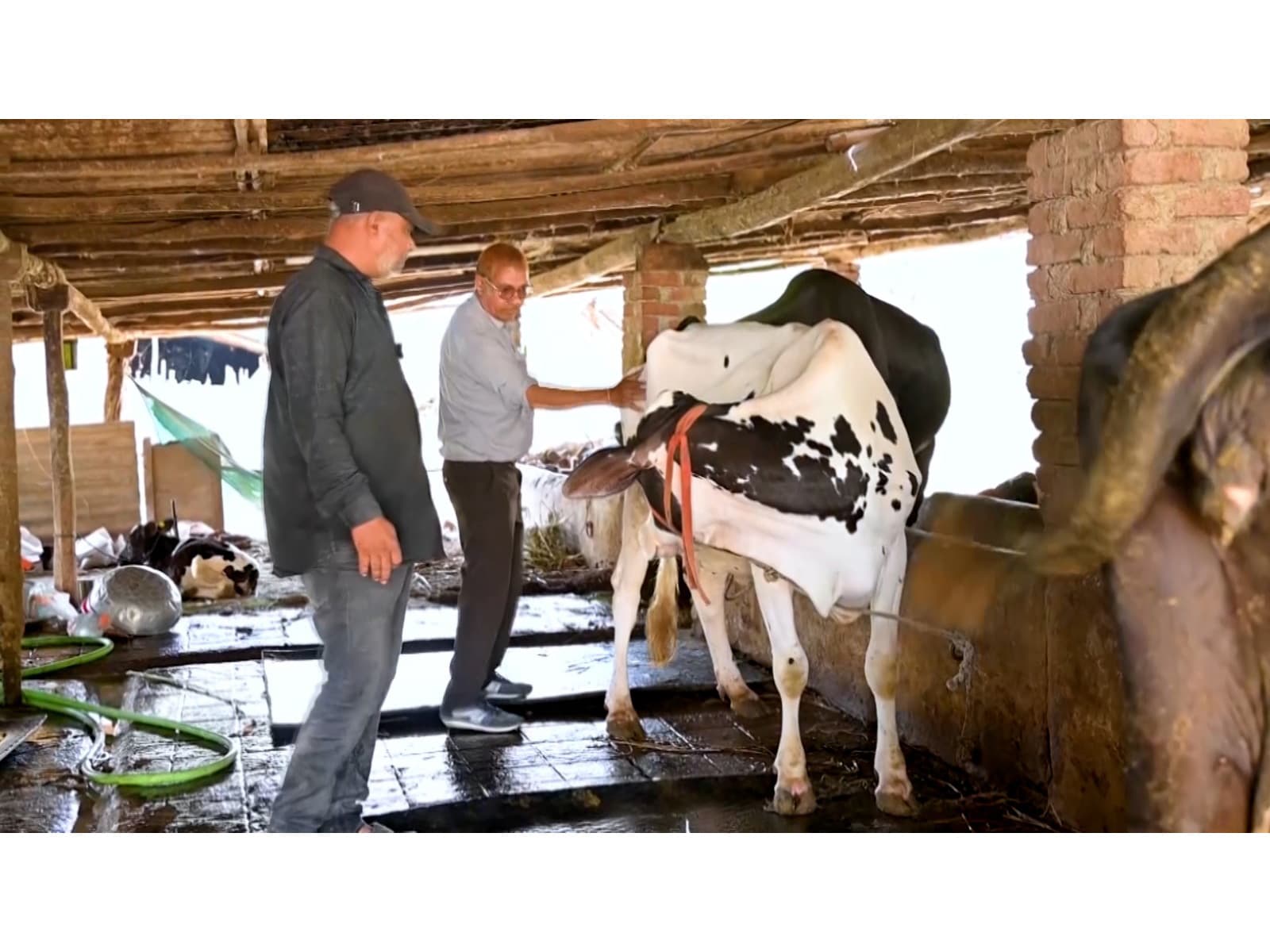 Miracle Boy” -"Deepak Patel" Boosts Dairy Productivity in Gujarat