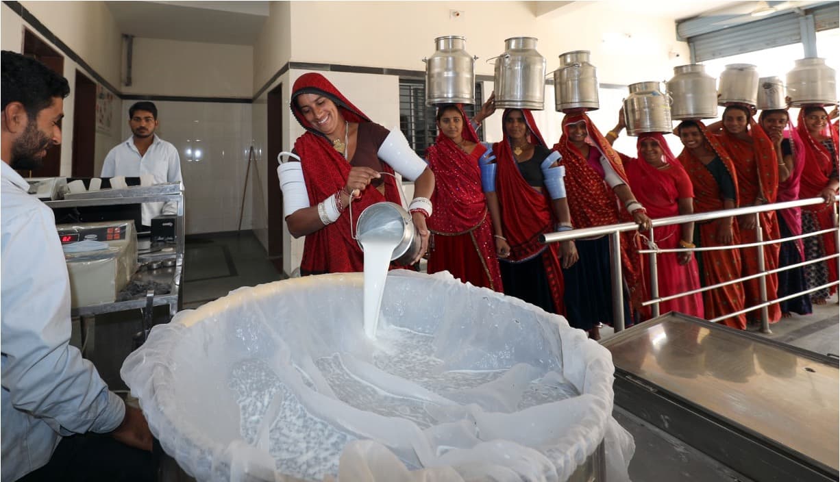 Sumul Dairy Hikes Milk Procurement Prices