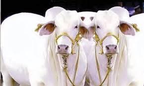 Rural India Needs Tax Reform Push