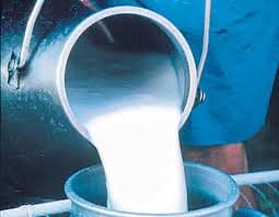 Milkfed Punjab Hikes Milk Procurement Price
