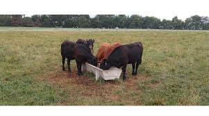 Dairy Traceability Becomes Key to Consumer Trust