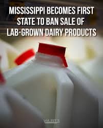 Mississippi Becomes First State to Ban Lab-Grown Dairy