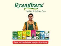 Gyandhara Drives Science-Led Dairy Transformation