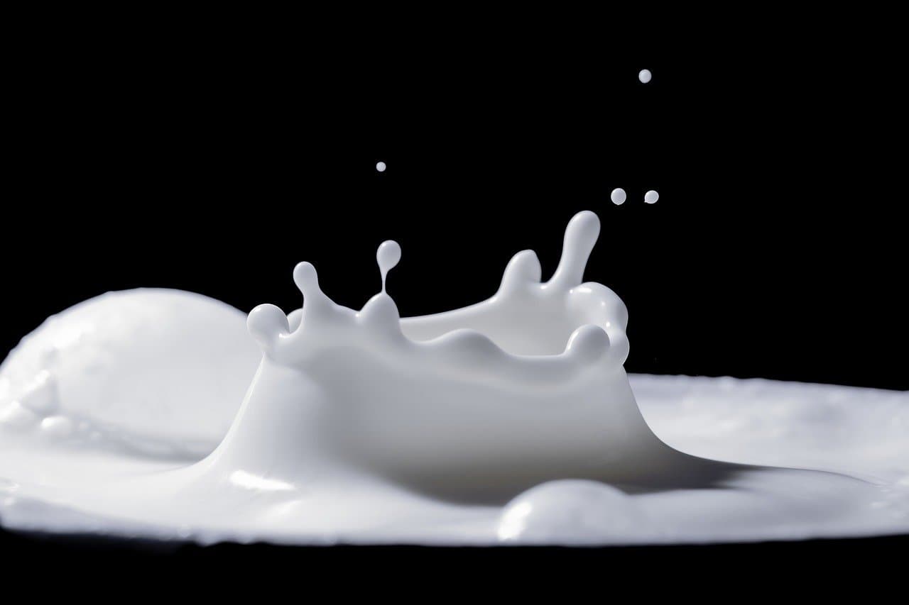 Russia Ships $12.5M Dairy Products to Belarus
