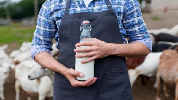 Heatwaves Threaten India’s Dairy Supply Chain