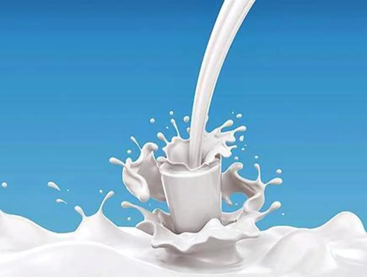 Productivity Emerges as Dairy’s Next Growth Driver