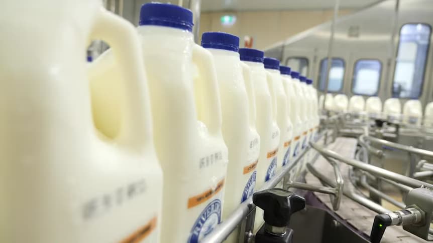 New Tech Could Cut Global Milk Waste by 70 Million Tonnes