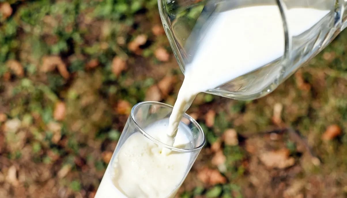 India-Japan Dairy Ties Expand Into Circular Economy