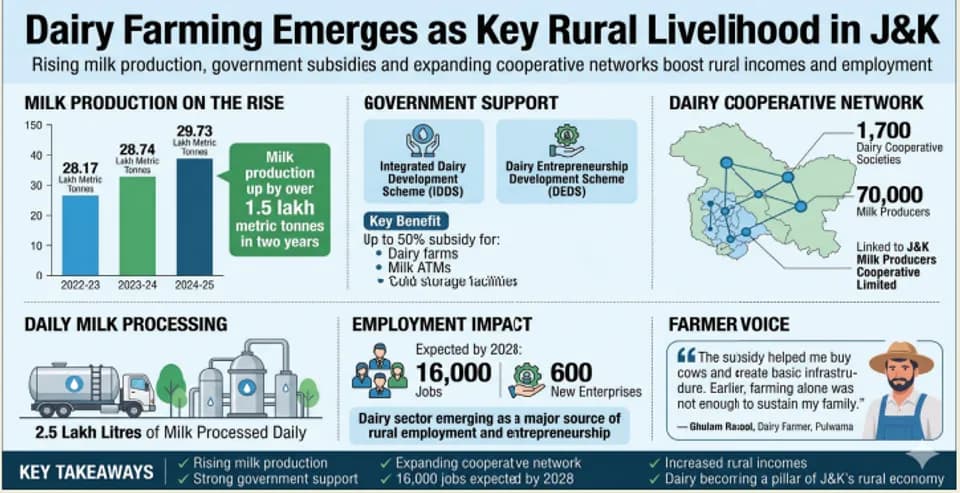 Kashmir Milk Output Nears 30 Lakh Tonnes