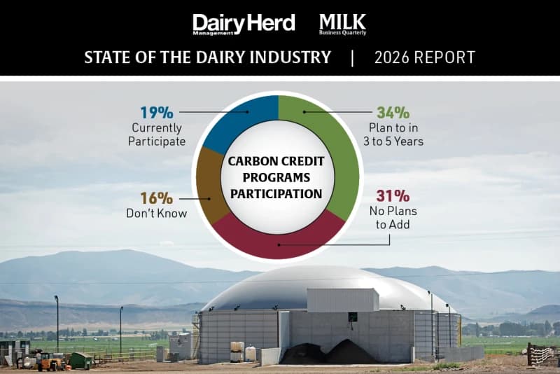Dairy Carbon Credit Boom Hits Wall of Skepticism