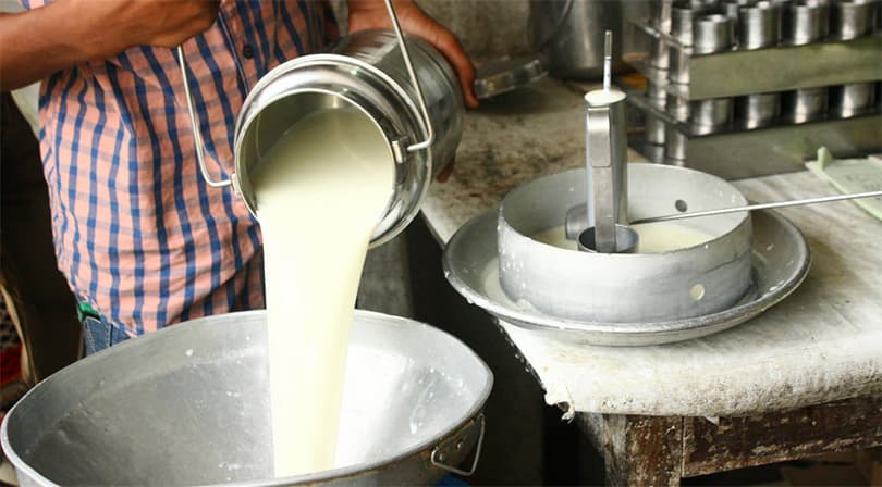 Toxic Milk Additives Raise Public Health Concerns
