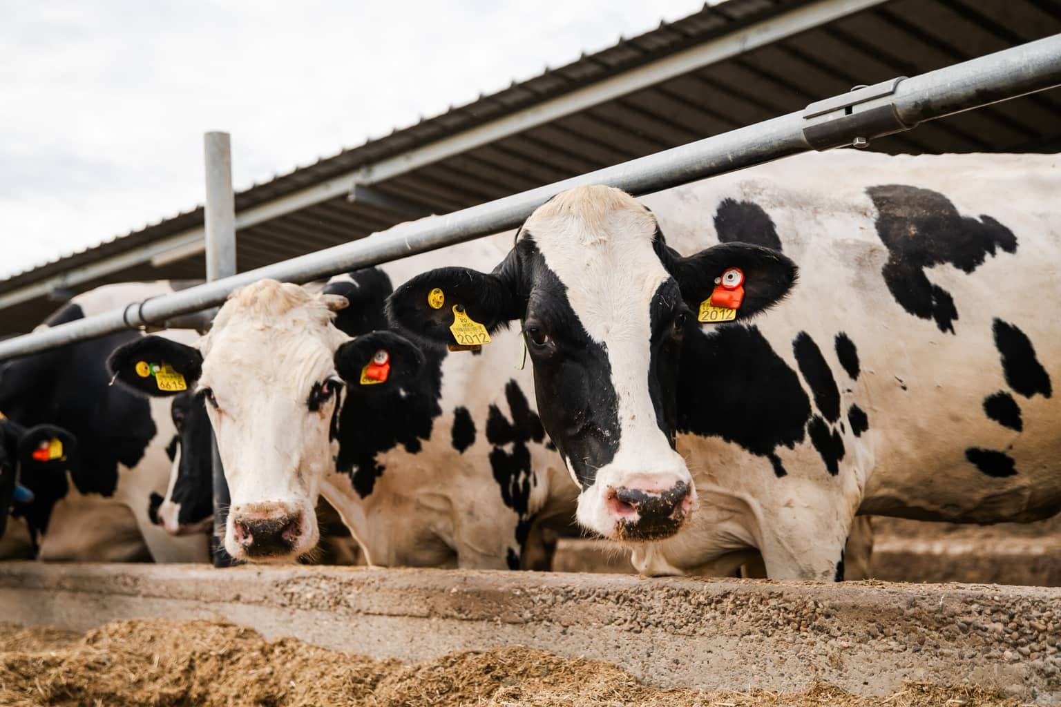 Europe’s Largest Dairy Farm Expands Circular Growth