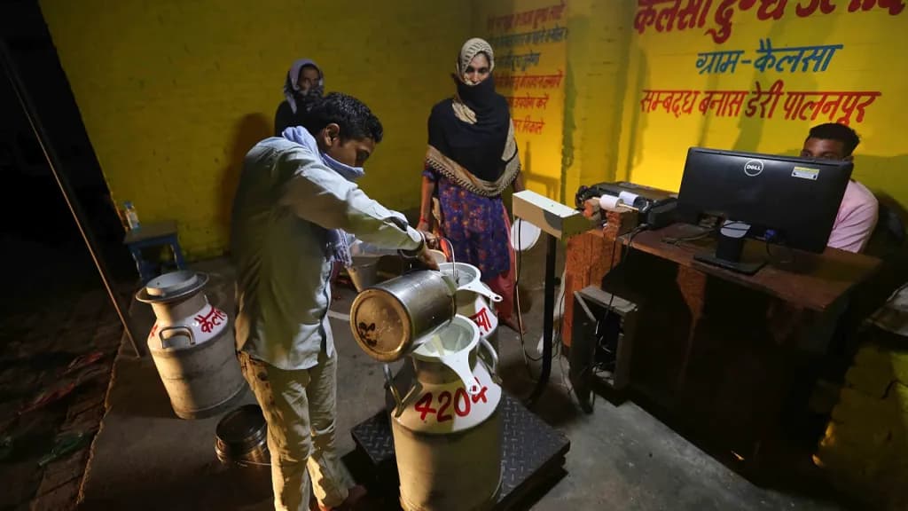 FDA Crackdown Reshapes Mumbai’s Dairy Supply Chain