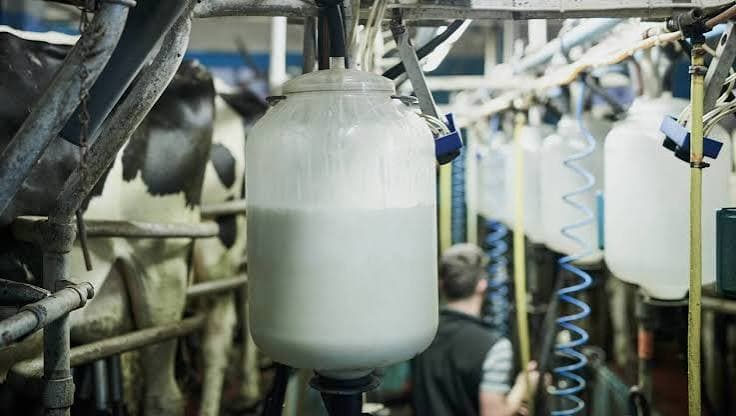 Ireland Shifts Milk Towards High-Value Nutrition