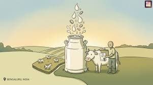 Dodla Dairy Q1 Revenue Rises, Backs Sid’s Farm