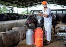 Government Strengthens Dairy Infrastructure Nationwide