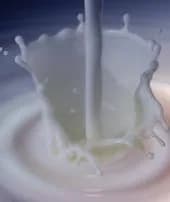 Uttarakhand Bans Substandard Dairy Products