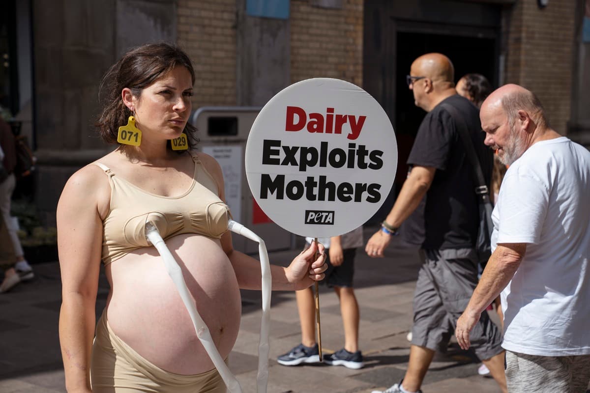 PETA Protest Targets Dairy Milk Consumption