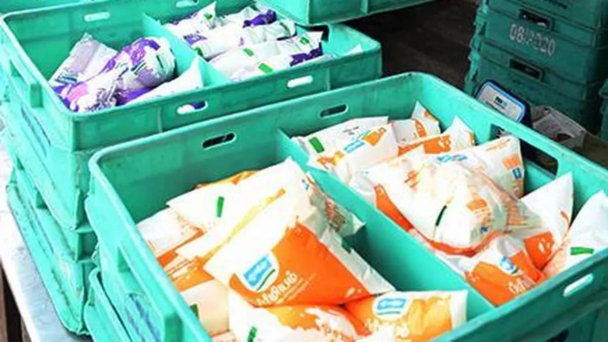 Smarter Supply Chains Could Transform India’s Dairy Exports