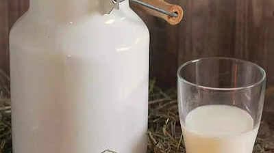 80% of Rajasthan’s Marketable Milk Unorganised
