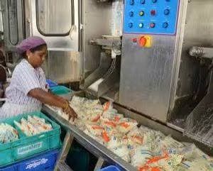 Creamline Dairy Reports Q1 Net Loss of ₹3.57 Crore