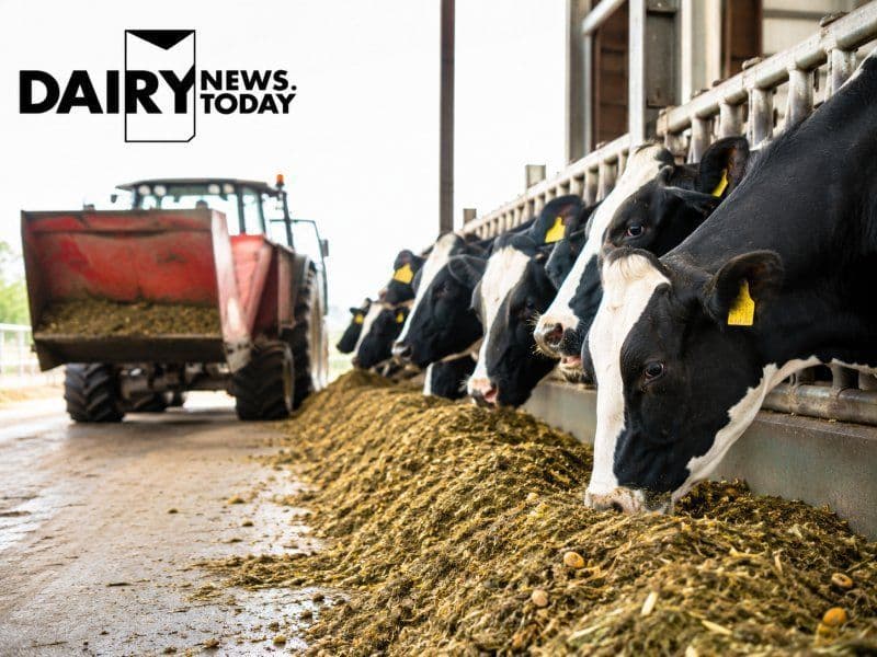 Sardar Cattle Feed Expands Animal Nutrition Business