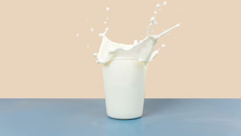 Alternative Proteins Face Investor Reset as Fermentation Gains