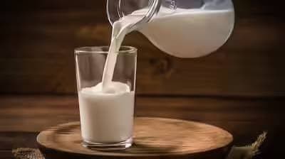 Telangana Moves to Strengthen Vijaya Dairy