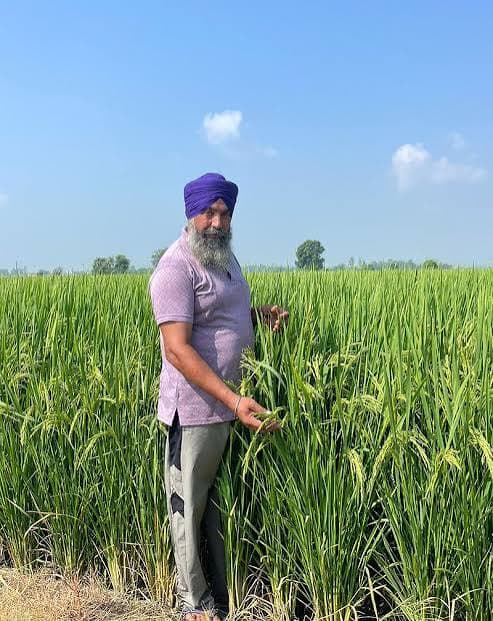 Kapurthala Farmer Replaces Urea with Dairy Slurry in Paddy Fields