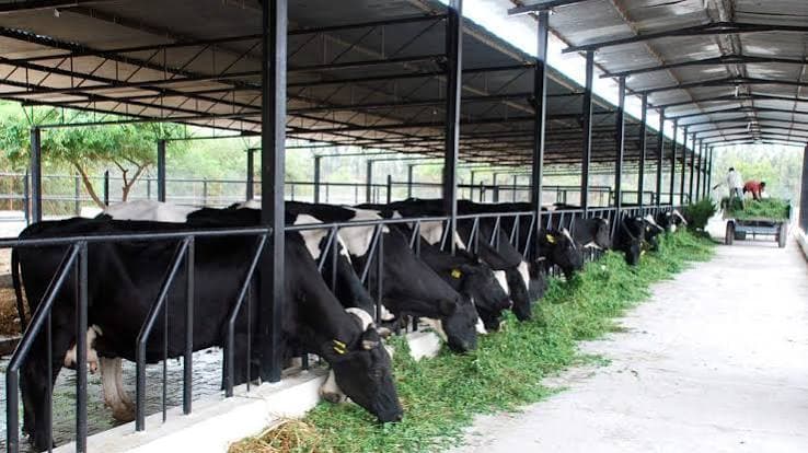Kerala Delegation Studies Banas Dairy Cooperative Model