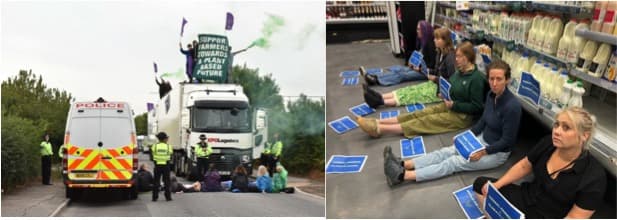 Milk shortages ‘inevitable’ if vegan protesters blockade dairy sites