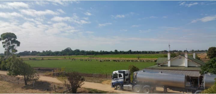 Dairy industry navigates global market challenges