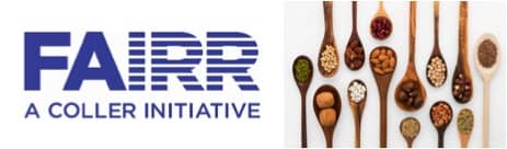 Alternative proteins are now big business and driving growth :FAIRR report