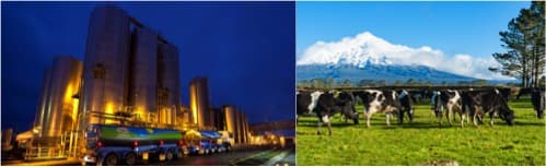 Fonterra cuts this season’s milk price-lower price for next season