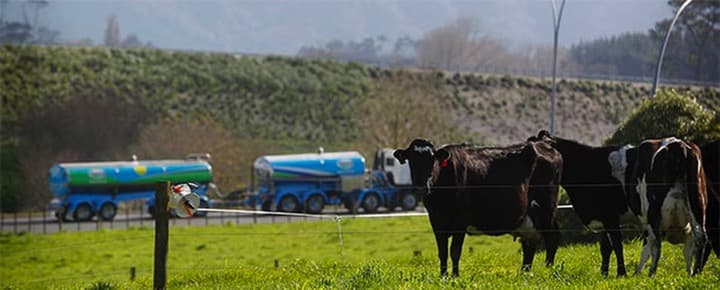 Why India is an important market for Fonterra