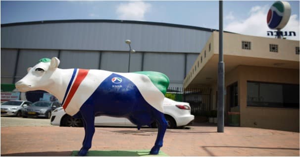 Empty supermarket shelves for dairy amid high production in Israel