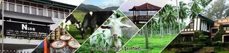 Srilankan Govt. offers over 6000 acres of NLDB farm land to private firms