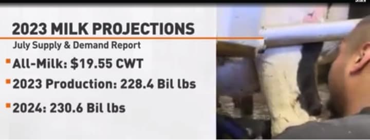 Dairy Report: All-Milk Prices Continues its Descent