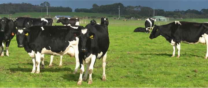 Ukraine-Russia conflict: Multi-layered impacts on dairy