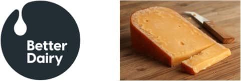 Better Dairy to disrupt hard aged cheese sector with animal-free offering