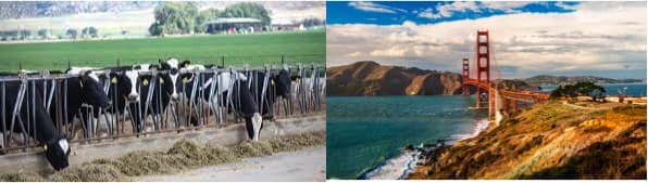 WORLD DAIRY NEWS How dairy farmers are cashing in on California’s push for cleaner fuel