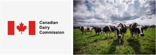 Canadian Dairy Commission recommends large increase in milk prices