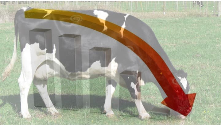 Weaker dairy markets in 2023 as demand dips